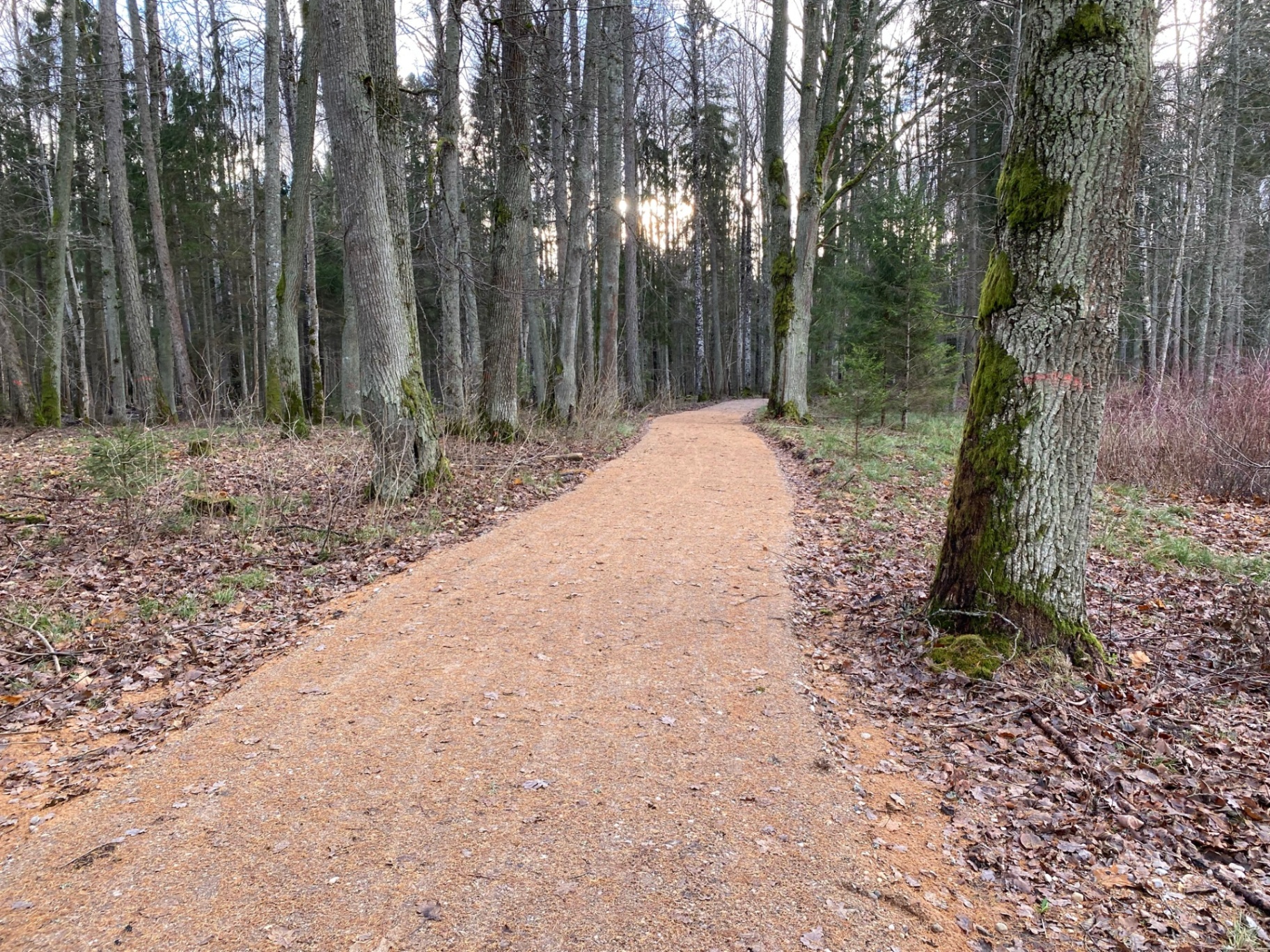 Emzes parka labiekārtošana
