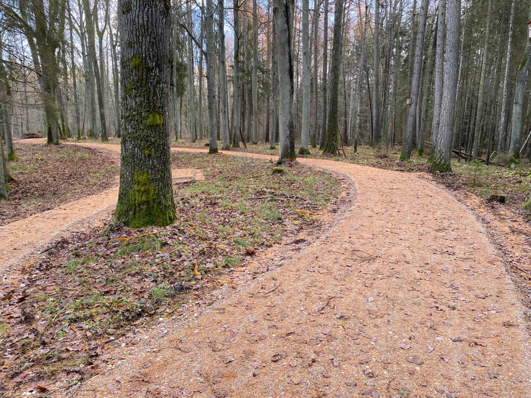 Emzes parka labiekārtošana — skats 2